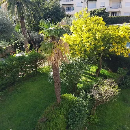 Melodie * Cannes